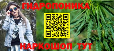 a pvp Славгород
