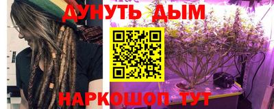 a pvp Славгород