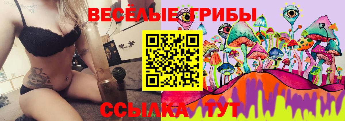 Псилоцибиновые грибы Cubensis Санкт-Петербург