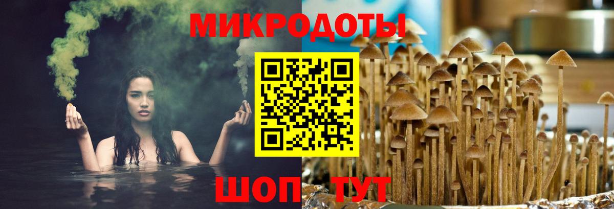 Галлюциногенные грибы мухоморы  Вход с VPN  Санкт-Петербург 